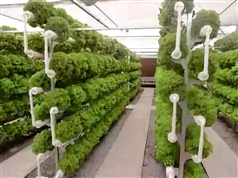 彩虹故鄉(xiāng)，又踏層峰望眼開 互助縣經(jīng)濟(jì)社會發(fā)展紀(jì)實(shí)中的農(nóng)業(yè)種植技術(shù)開發(fā)